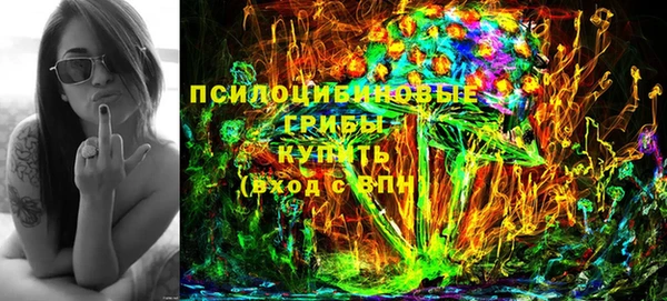 винт Гусев